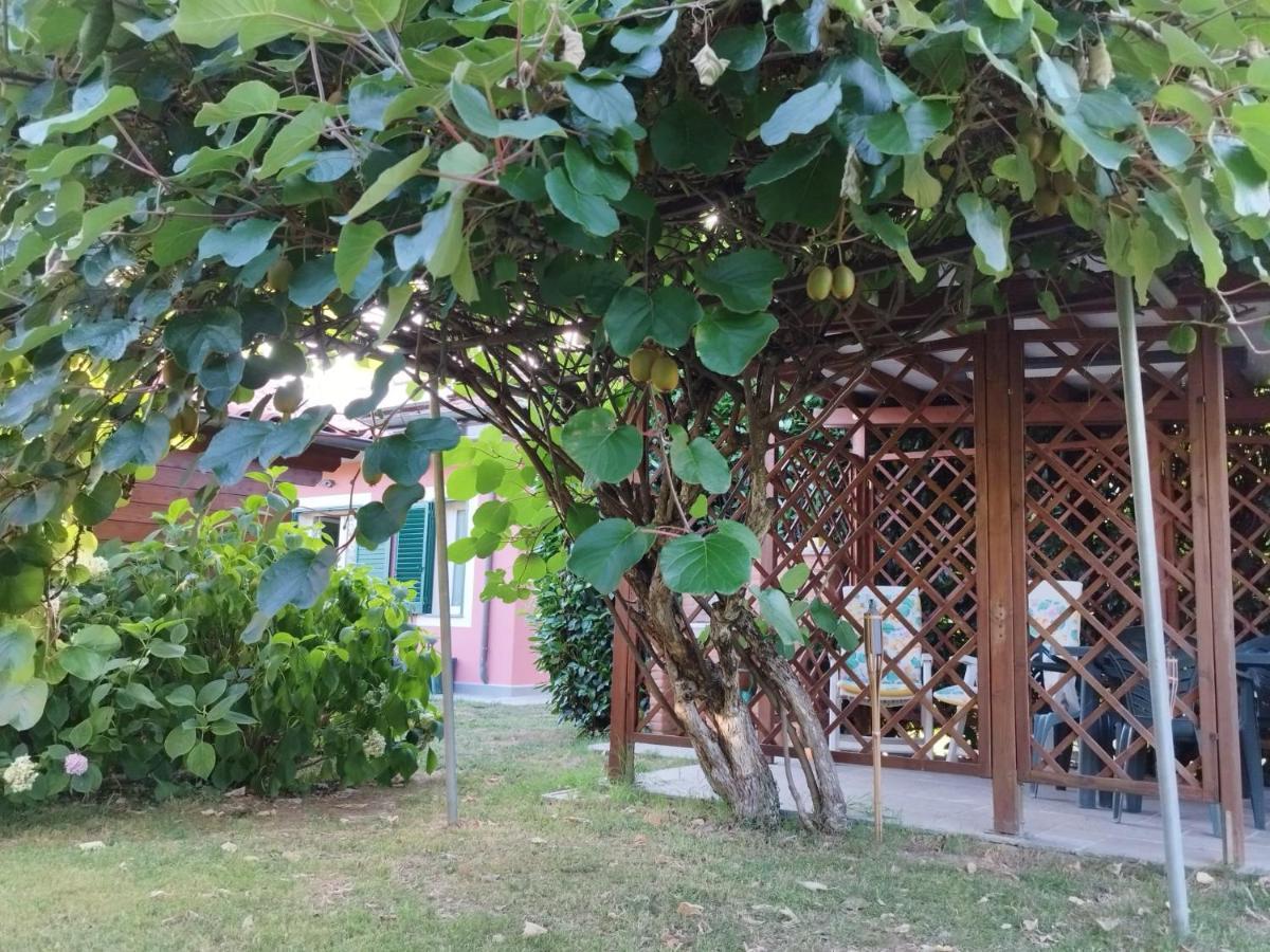 La Casina Villa Barga Kültér fotó