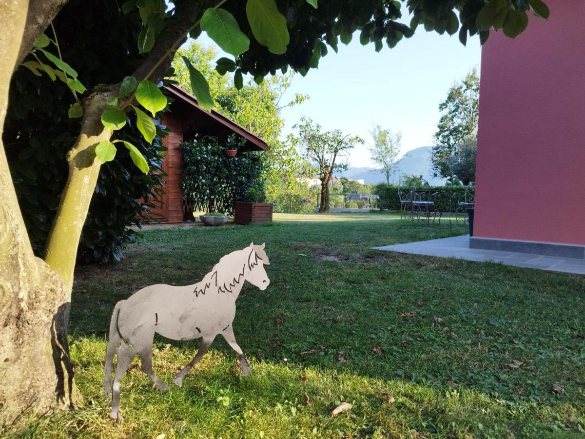La Casina Villa Barga Kültér fotó
