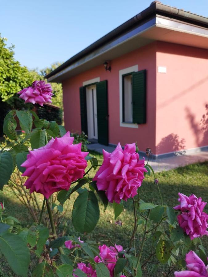 La Casina Villa Barga Kültér fotó